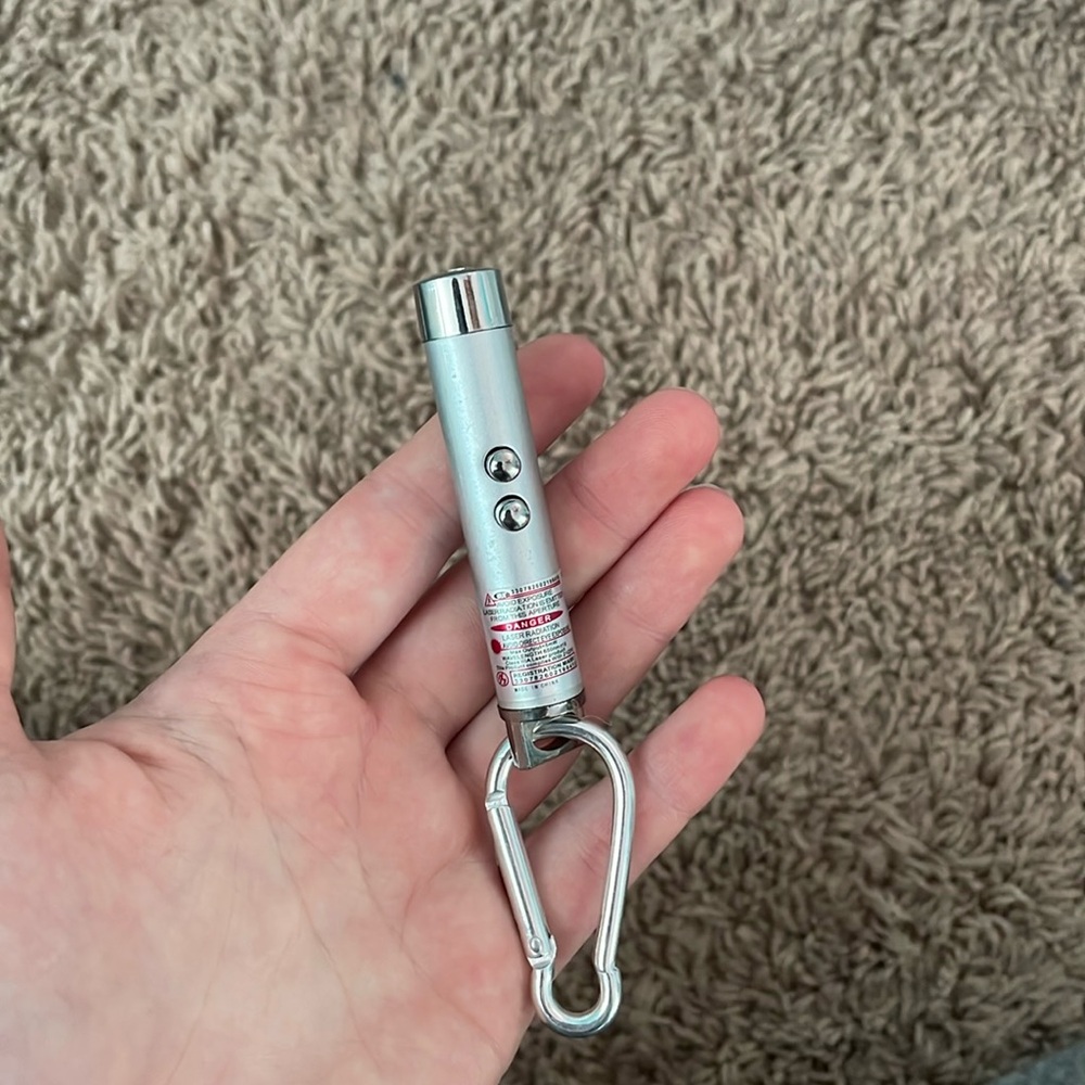 Cat flashlight/laser pointer